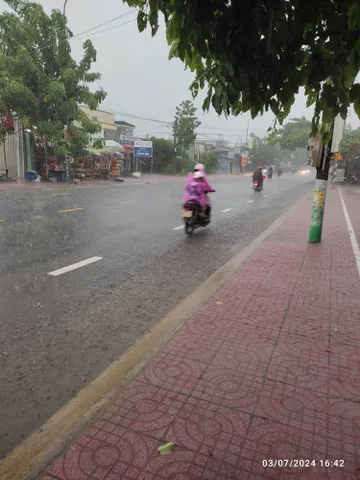 Bất động sản tại Lâm Đồng - ảnh 1
