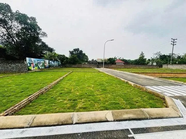 Bất động sản tại Phú Thọ - ảnh 1