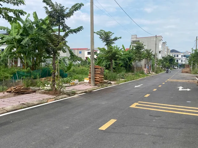 Bất động sản tại Phú Thọ - ảnh 1