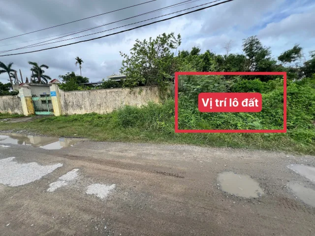 Bất động sản tại Hải Phòng - ảnh 1