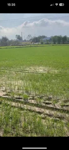 Bất động sản tại Bà Rịa - Vũng Tàu - ảnh 1