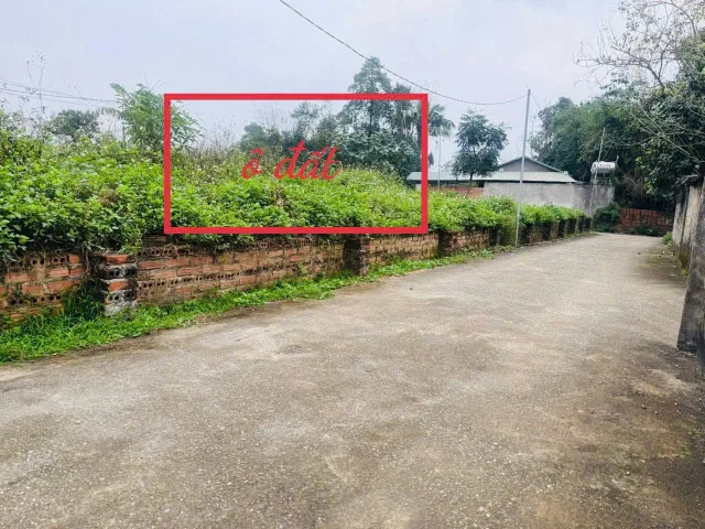 Bất động sản tại Vĩnh Phúc - ảnh 1