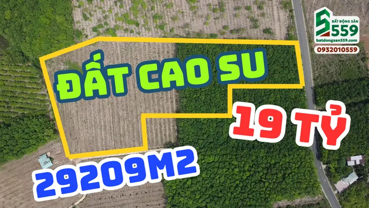 Bất động sản tại Bình Phước - ảnh 1