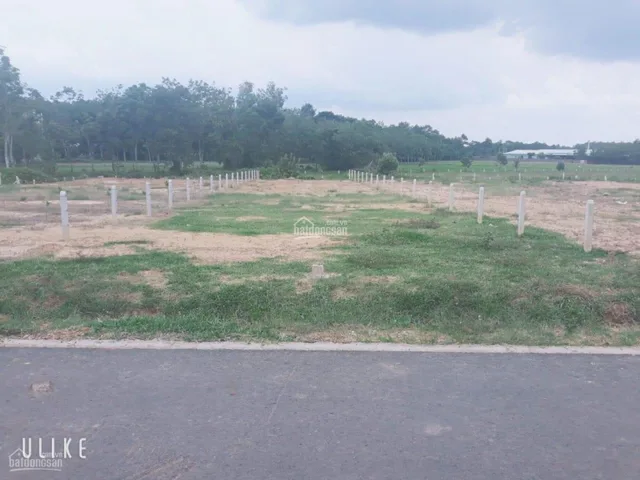 Bất động sản tại Bình Phước - ảnh 1