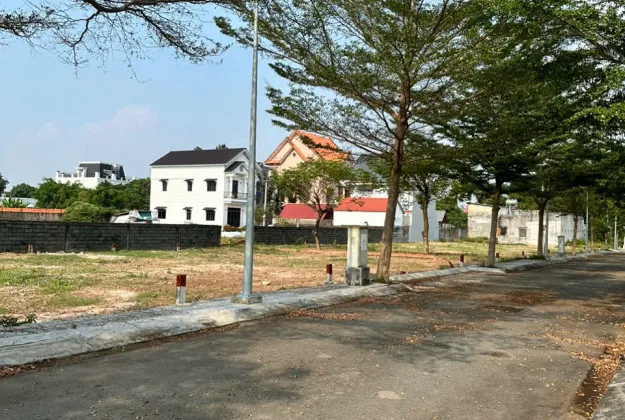 Bất động sản tại Long An - ảnh 1