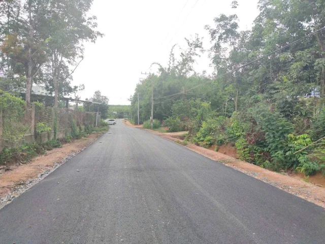 Bất động sản tại Bình Dương - ảnh 1