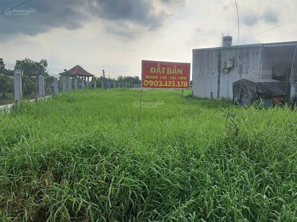 Bất động sản tại Long An - ảnh 1