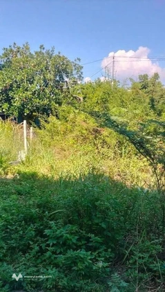 Bất động sản tại Khánh Hòa - ảnh 1