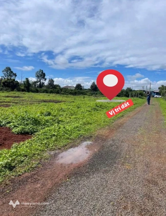 Bất động sản tại Gia Lai - ảnh 1