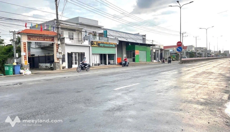 Bất động sản tại Long An - ảnh 1