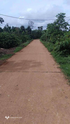 Bất động sản tại Đắk Lắk - ảnh 1