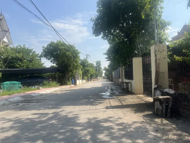 Bất động sản tại Hưng Yên - ảnh 1