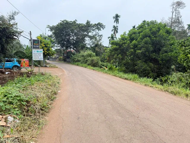 Bất động sản tại Đồng Nai - ảnh 1
