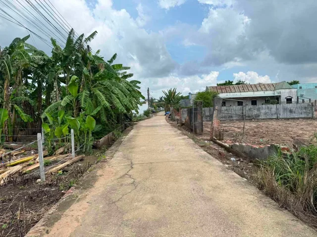 Bất động sản tại Đồng Nai - ảnh 1