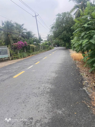 Bất động sản tại Bến Tre - ảnh 1