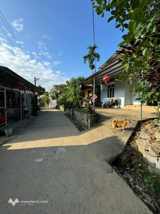 Bất động sản tại Hà Giang - ảnh 1