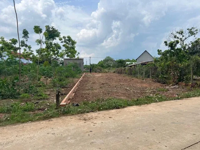 Bất động sản tại Bình Dương - ảnh 1