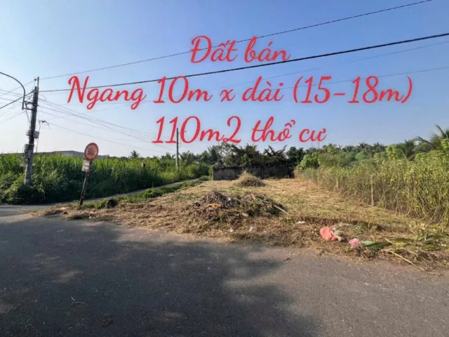 Bất động sản tại Tiền Giang - ảnh 1