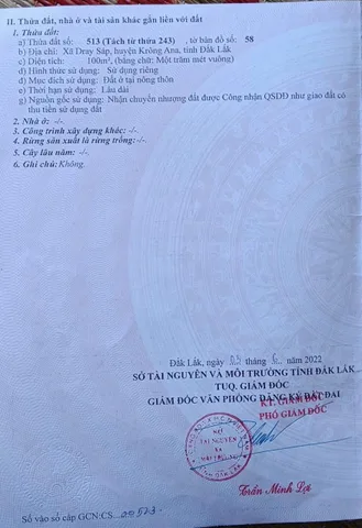 Bất động sản tại Đắk Lắk - ảnh 1