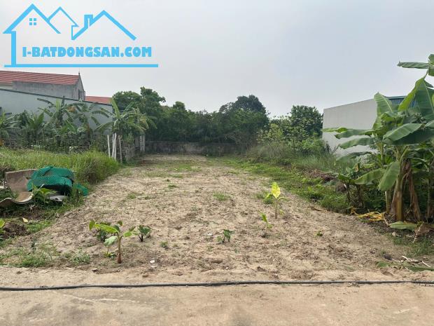 Bất động sản tại Hưng Yên - ảnh 1