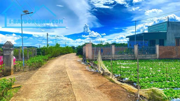 Bất động sản tại Lâm Đồng - ảnh 1