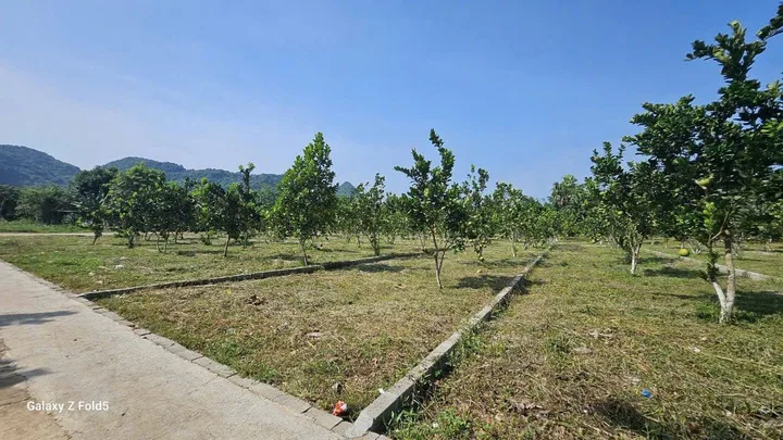 Bất động sản tại Hòa Bình - ảnh 1