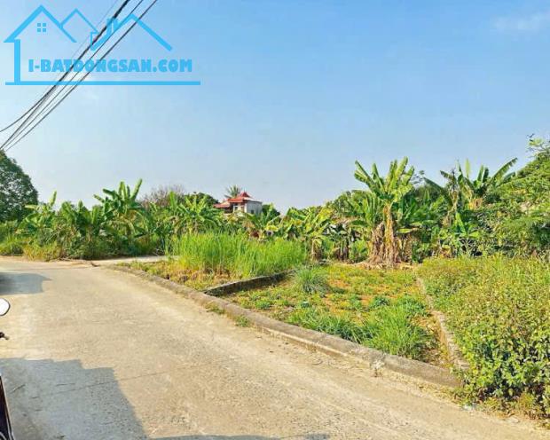 Bất động sản tại Hưng Yên - ảnh 1