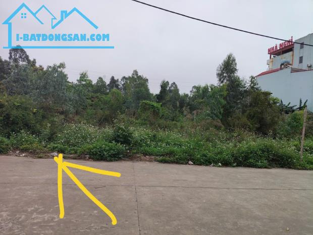 Bất động sản tại Hưng Yên - ảnh 1