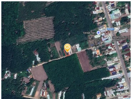 Bất động sản tại Bình Dương - ảnh 1