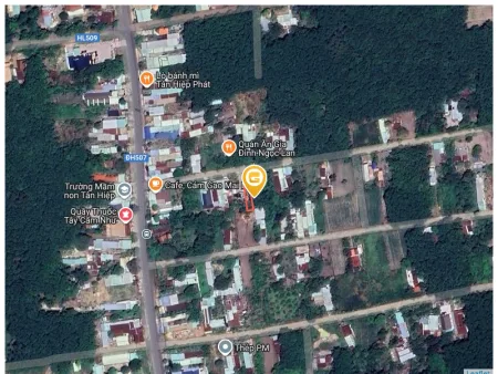 Bất động sản tại Bình Dương - ảnh 1