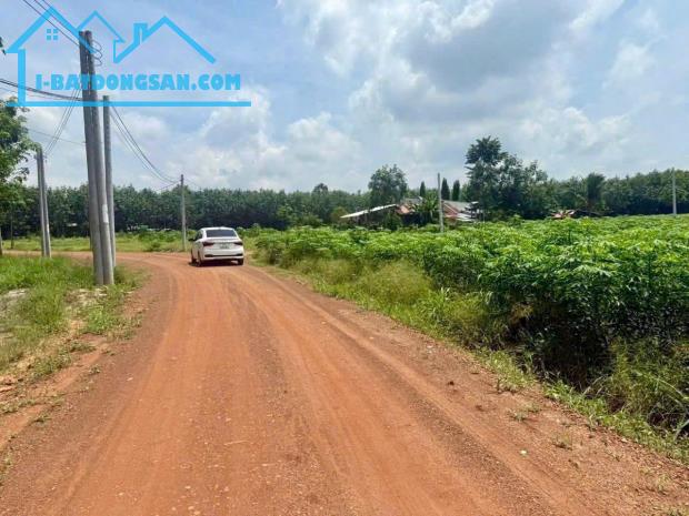 Bất động sản tại Bình Phước - ảnh 1