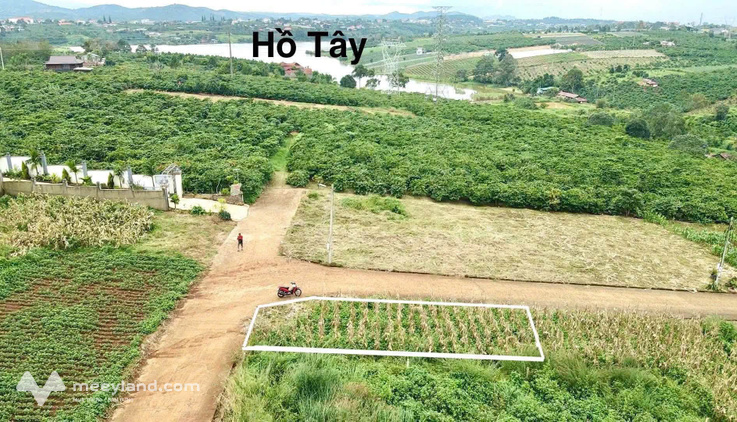 Bất động sản tại Lâm Đồng - ảnh 1