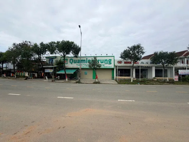 Bất động sản tại Đà Nẵng - ảnh 1