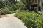Bất động sản tại Bến Tre - ảnh 1