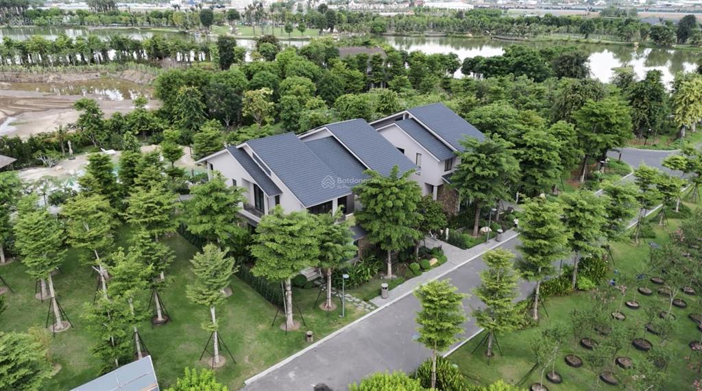 Bất động sản tại Long An - ảnh 1