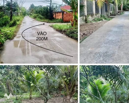 Bất động sản tại Bến Tre - ảnh 1