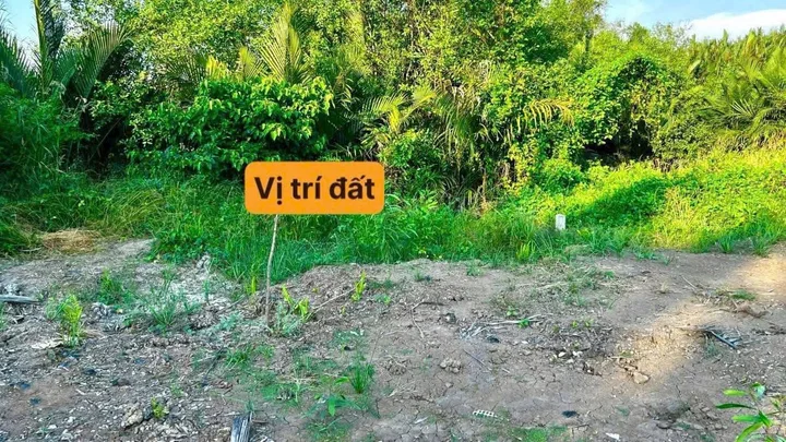 Bất động sản tại Tây Ninh - ảnh 1