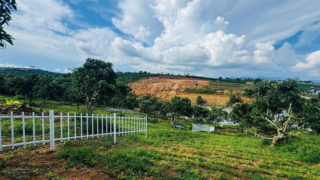 Bất động sản tại Lâm Đồng - ảnh 1