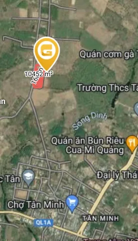 Bất động sản tại Lâm Đồng - ảnh 1