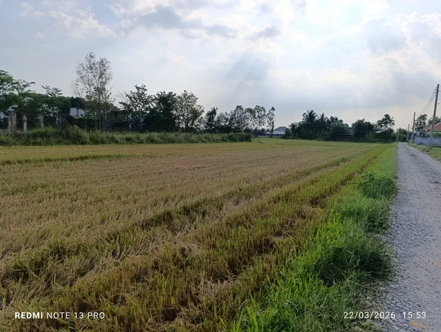 Bất động sản tại Tây Ninh - ảnh 1