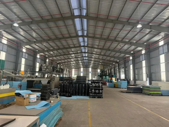 Bất động sản tại Bình Dương - ảnh 1