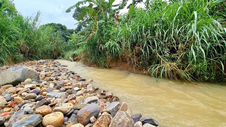 Bất động sản tại Lâm Đồng - ảnh 1