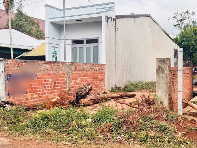 Bất động sản tại Đắk Lắk - ảnh 1
