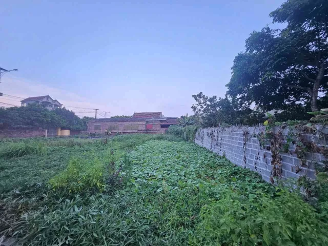 Bất động sản tại Hưng Yên - ảnh 1