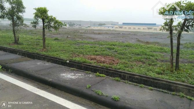 Bất động sản tại Hải Phòng - ảnh 1