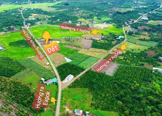 Bất động sản tại Đắk Lắk - ảnh 1