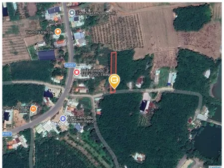 Bất động sản tại Bình Dương - ảnh 1