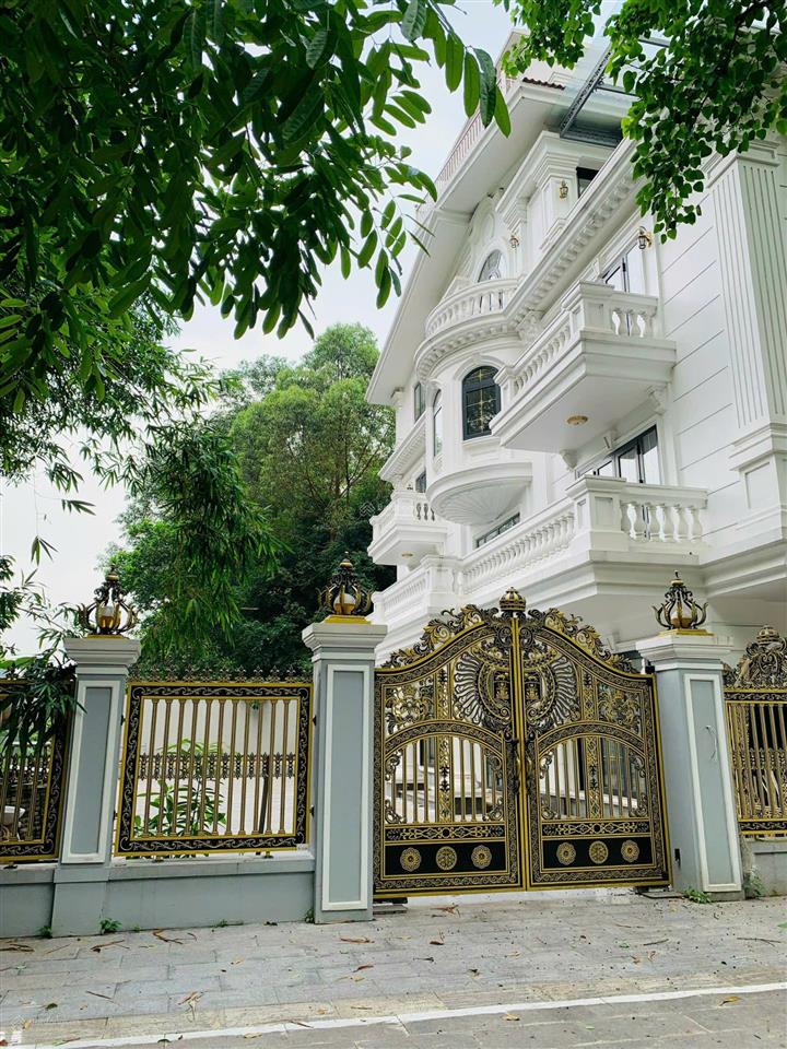 Bất động sản tại Hưng Yên - ảnh 1
