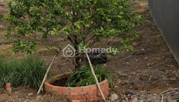 Bất động sản tại Cần Thơ - ảnh 1