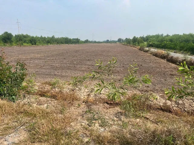 Bất động sản tại Long An - ảnh 1